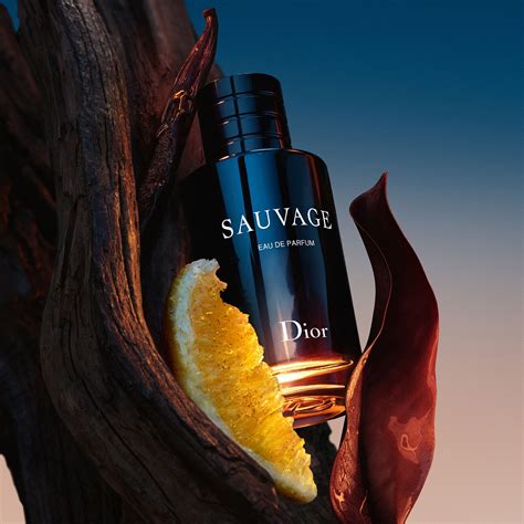 dior sauvage pris